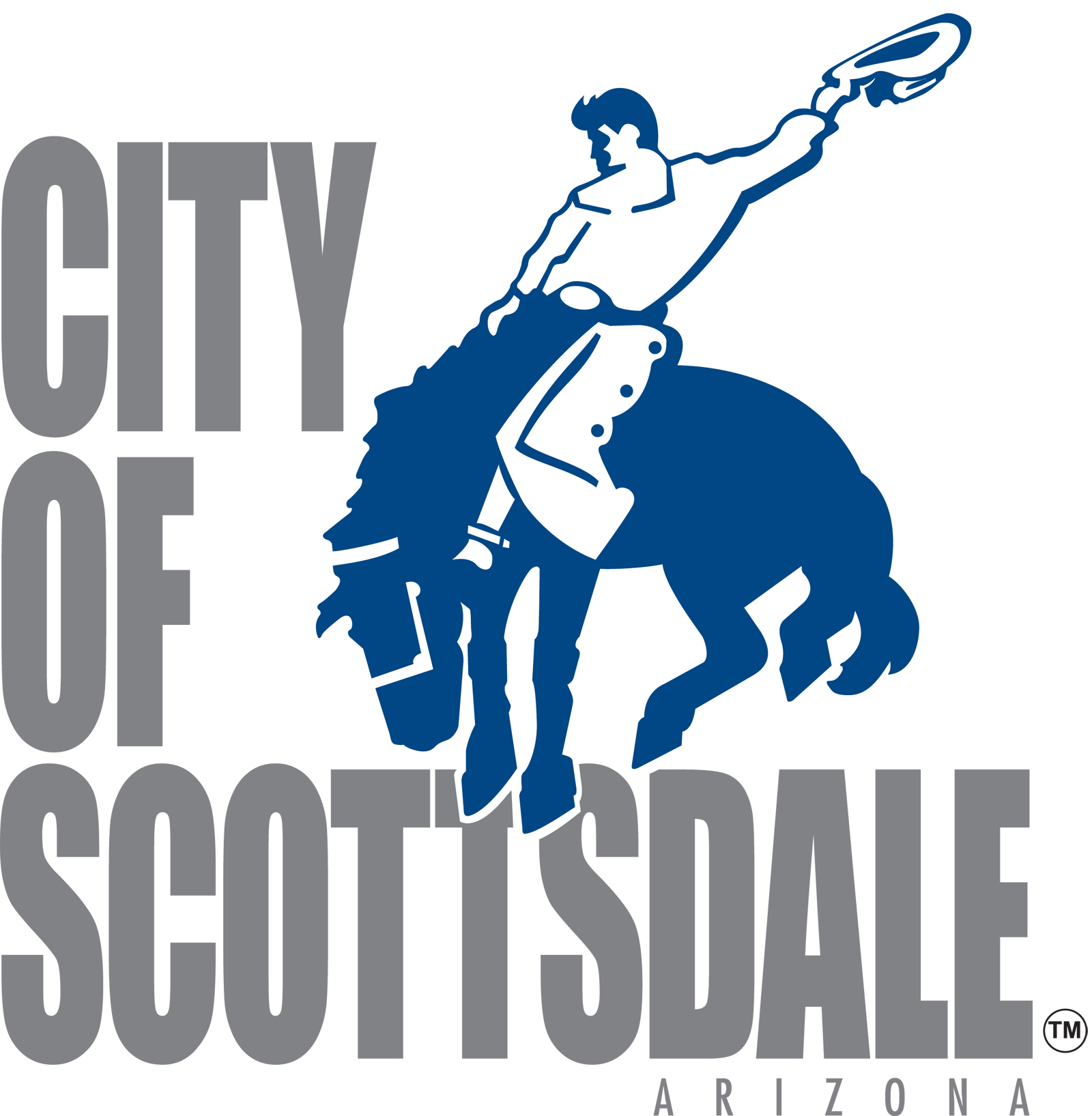 City of Scottsdale's Information Systems Department